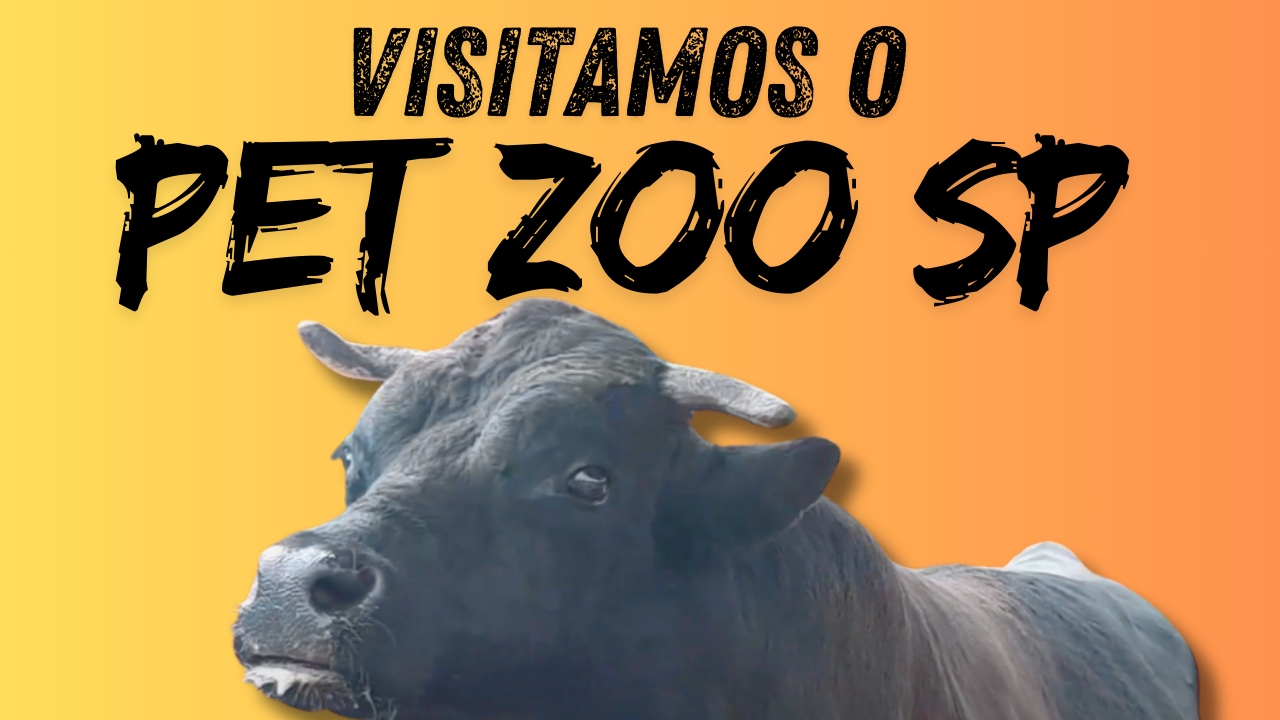 Fazendinha para crianças em São Paulo / visitamos o Petzoo em SP